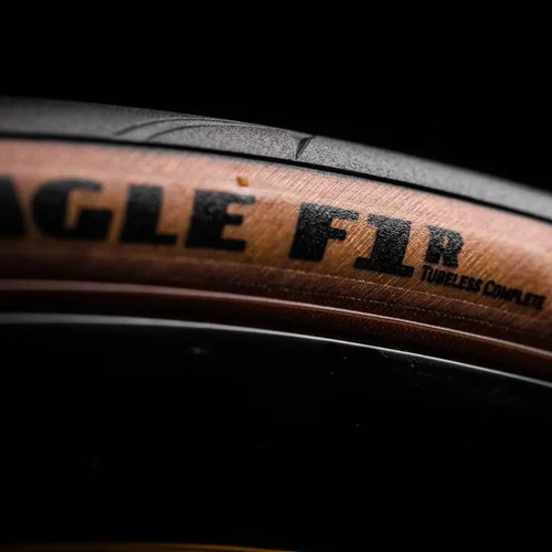PNEU GOODYEAR EAGLE F1 SUPERSPORT TUBE 700X25 TYPE PRETO/MARROM