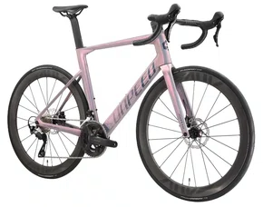 Bicicleta Sunpeed Victory Sport Carbono 105 24V