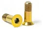 KIT 2 PARAFUSOS P/ ROLDANA SHIMANO M5X13X0,8 - DOURADO