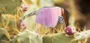 OCULOS 100% S3 POLISHED TRANSLUCENT GREY ROSE PHOTOCHROMIC