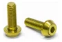 Parafuso Titânio P/ Suporte De Garrafa-kit C/ 2uni. Dourado