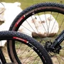 PNEU VITTORIA MTB VITTORIA PEYOTE XC TRAIL 29X2.4 TLR/DOBRAVEL/E-BIKE READY